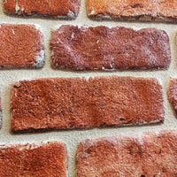 RETAIL BOX da 10 pannelli (5 MQ) - FOCOLARE - pannello finto mattone in EPS Resinato Misura 100x50 Cm spessore 2 cm