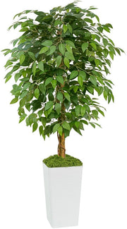 Ficus Kunstboom 150cm, Pianta Finta di Ficus, Ficus Benjamini Pianta Nep per Ufficio, Casa, Decorazione Interna e Esterna, Salotto, Camera da Letto, Giardino