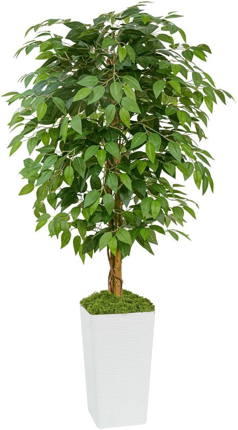 Ficus Kunstboom 150cm, Pianta Finta di Ficus, Ficus Benjamini Pianta Nep per Ufficio, Casa, Decorazione Interna e Esterna, Salotto, Camera da Letto, Giardino
