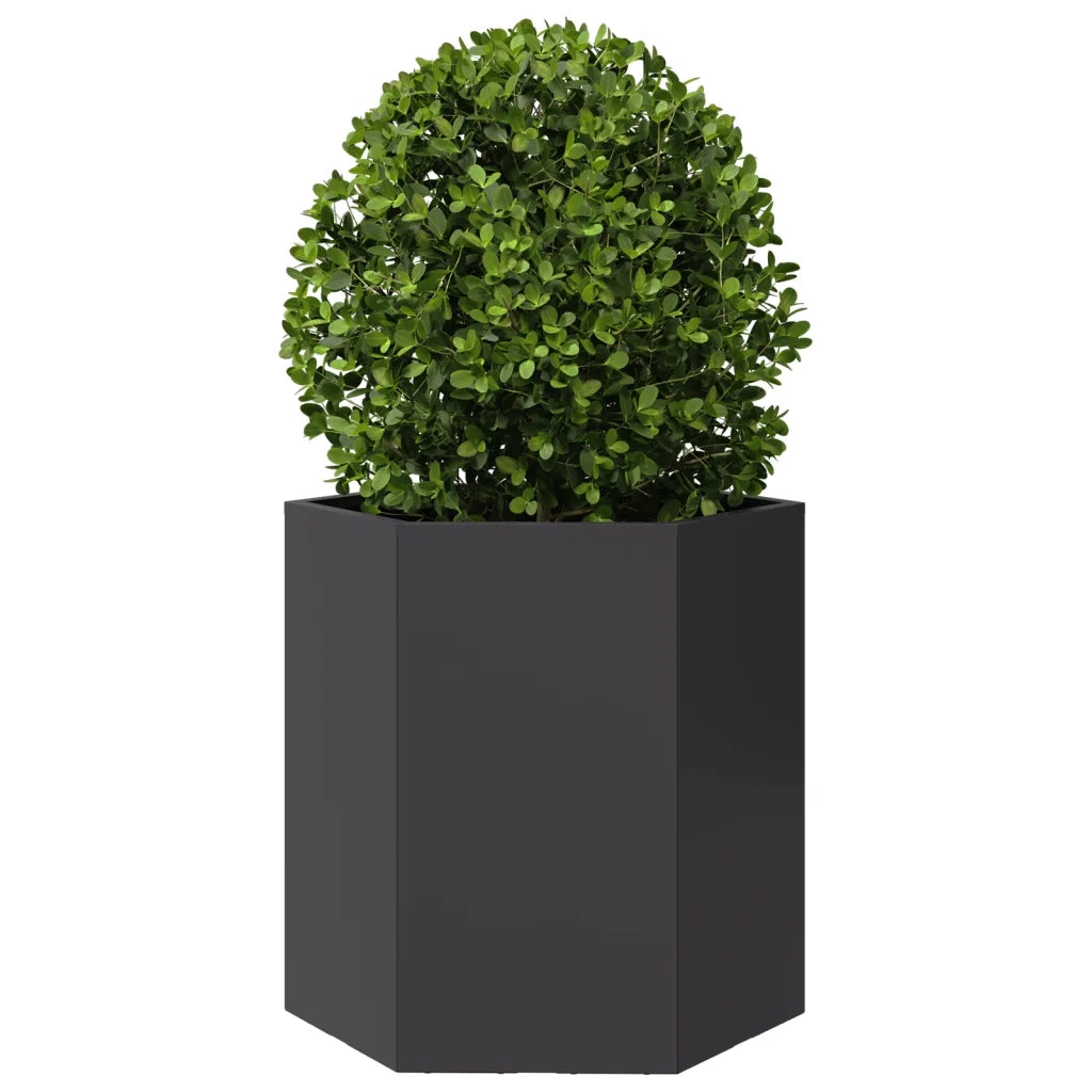 Fioriere da Giardino 2 pz Esagono Nero 46x40x45 cm Acciaio 851109