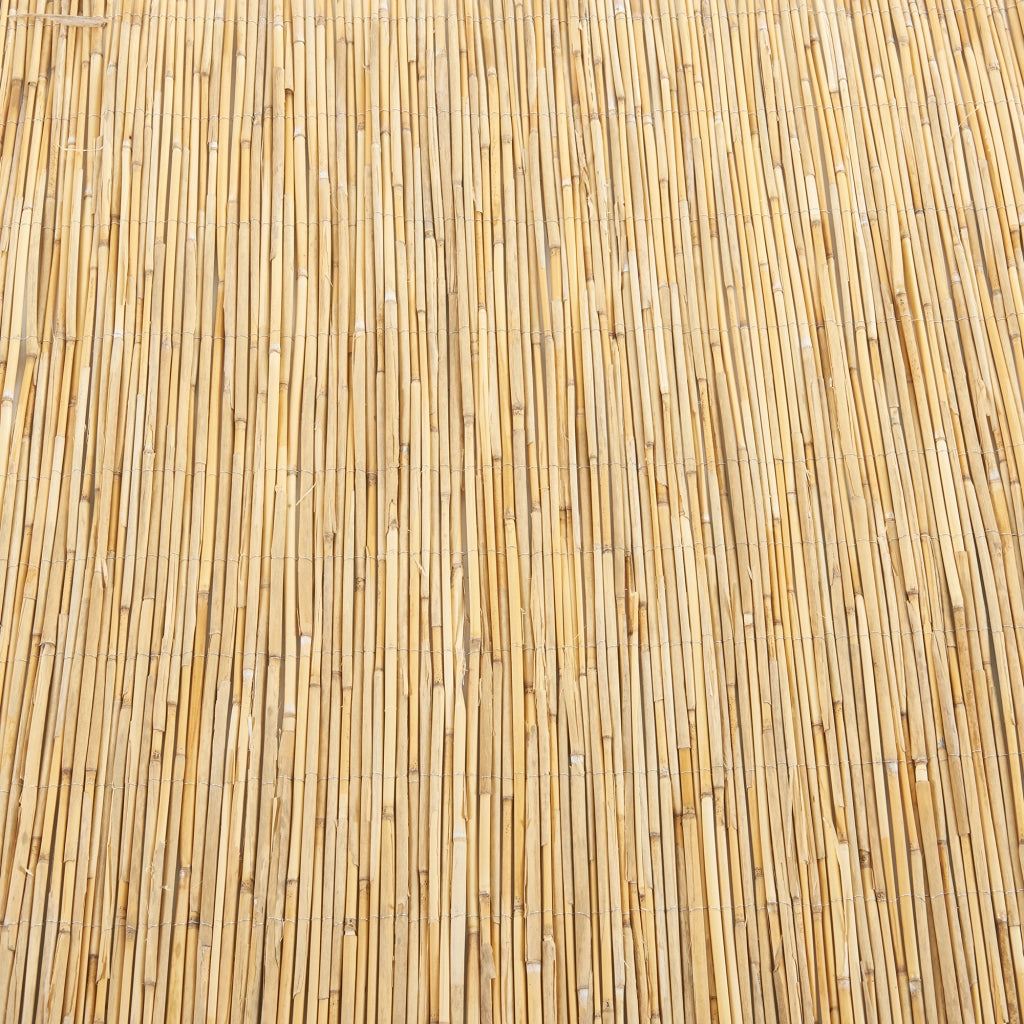 Recinzione Frangivista Abbateggio in Canna Naturale 150 x 300 cm casa.pro