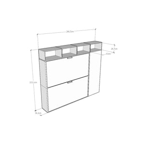 Letto doppio a scomparsa orizzontale con mobili - KANDO