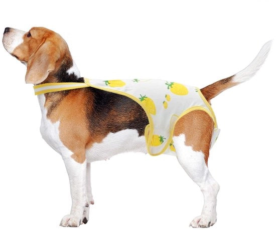 Abbigliamento per cani - Cinturini regolabili - Tessuto soffice e respirante - Lavabile - Grande - Abbigliamento per cani