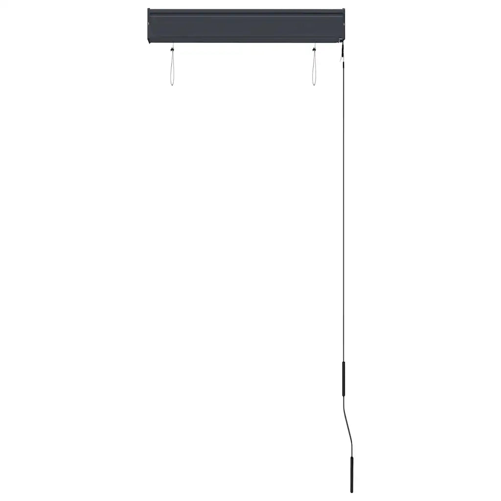 Tenda a rullo | Tenda avvolgibile per Esterni 60x250 cm Antracite