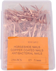 Nageli per Cavallo 250 pezzo - Acciaio Inossidabile - 51mm E5 - Precisione in Rame - Alta Resistenza al Trascinamento - Leggeri e Facili da Portare