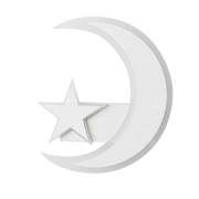 APPLIQUE A LED DA PARETE LAMPADA LUNA LUCE BIANCA CON STELLA LUCE CALDA FREDDA NATURALE 11W