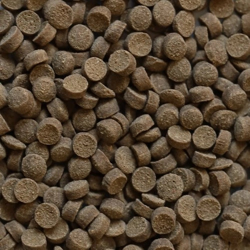 DuplaRin Crusta Snack 80gr - granuli affondanti per Caridine e gamberetti