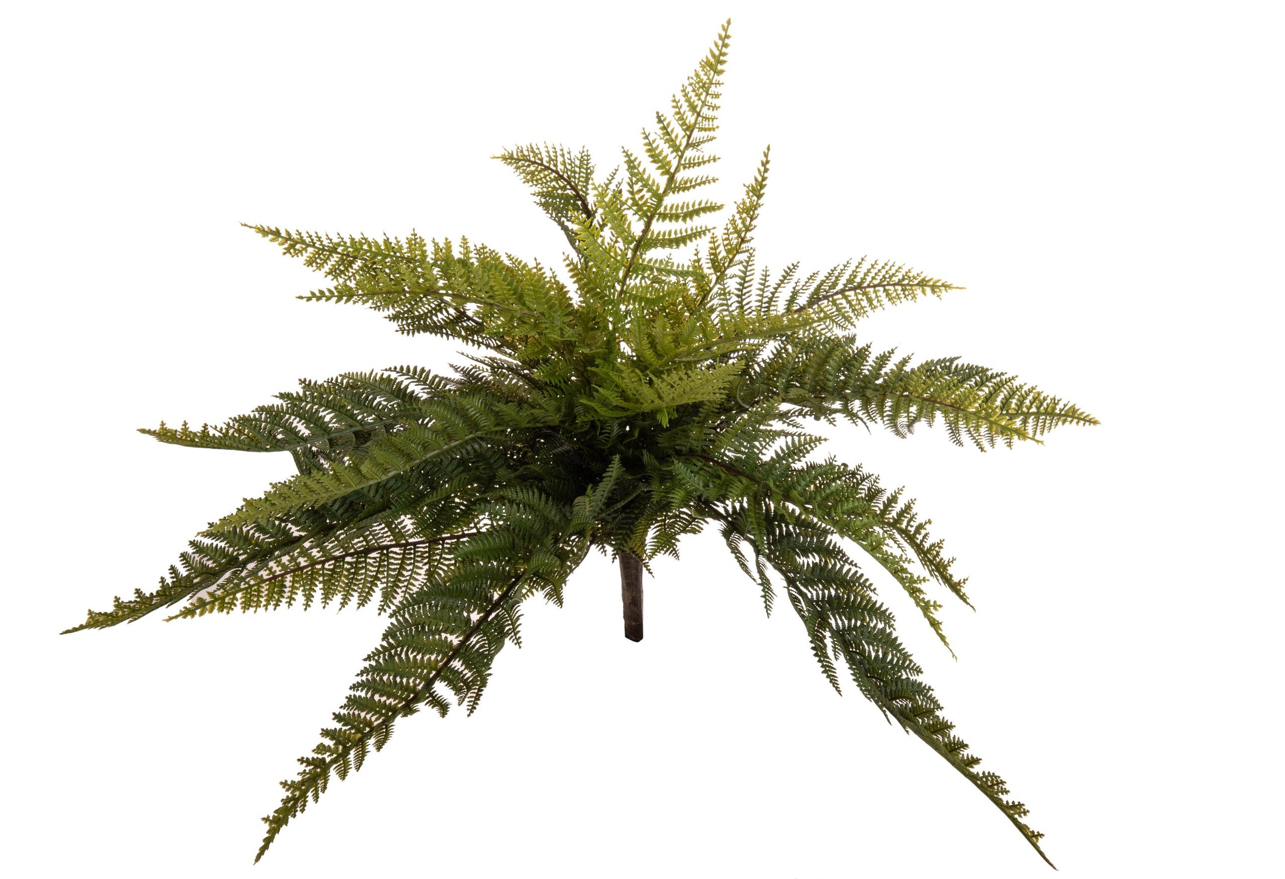 Set 2 Pinta di Felce Boston Artificiale Altezza 43 cm Verde