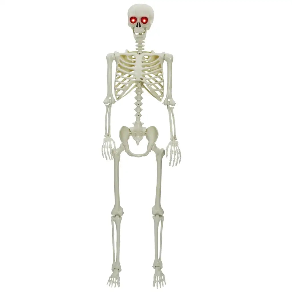 Scheletro di Halloween Bianco 155 x 38.5 cm Plastica
