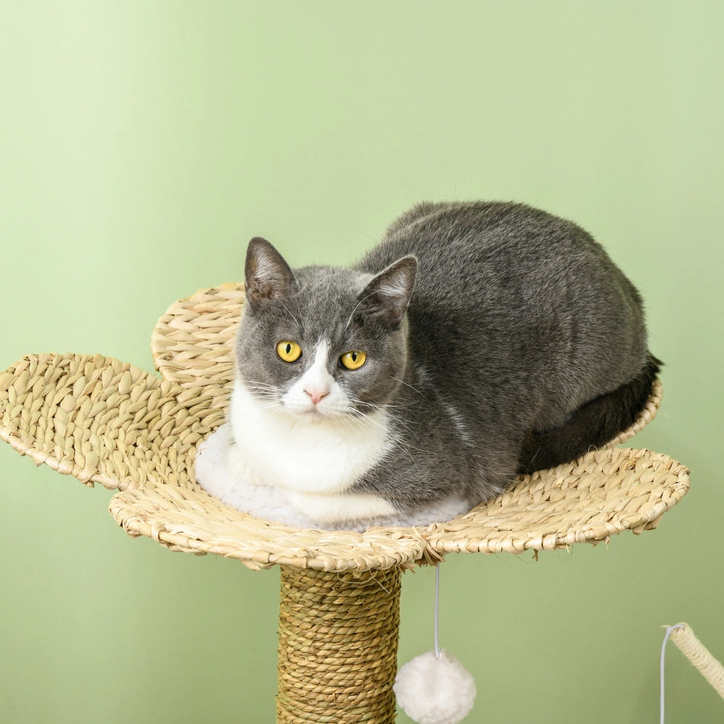 Arbre ¨¤ chat griffoir sisal tunnel plateforme peluche ¨C Zephmum ¨C 56x40x91 beige
