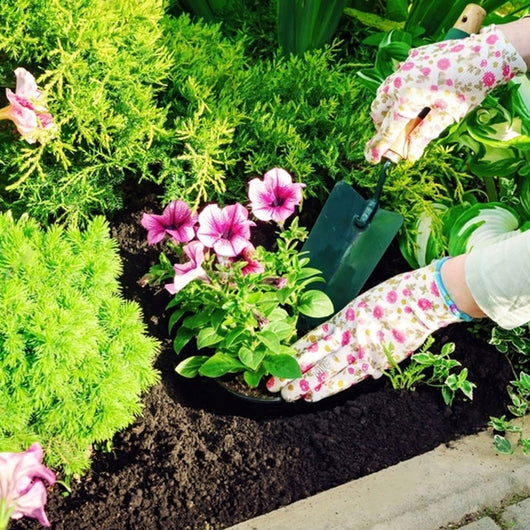 KIT ORNAMENTALI - NPK 20.20.20, ReGrow, Propoli, Neem e Sapone Molle