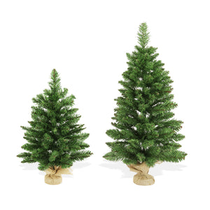 Albero di Natale Argo 60 cm