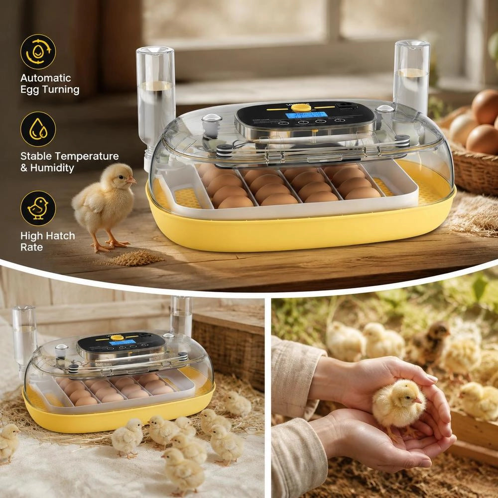 Fully Automatic 24-egg Incubator With Egg Turner, Temperature And Humidity Control, For Hatching Chicks, Ducks, Geese, And Quail.