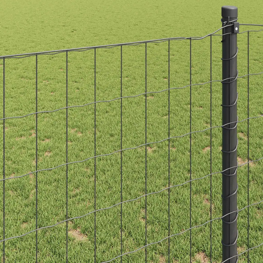 Recinzione Euro Grigio 1,6 x 10 m Ferro rivestito in PVC 42004497