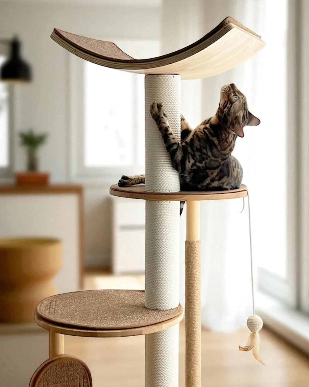 Albero tiragraffi per gatti Gaviota