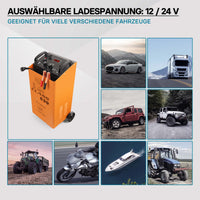 Caricabatterie 12V e 24V Boost 630 Caricatore per batterie piombo acido AGM