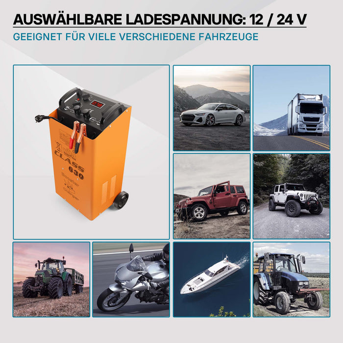 Caricabatterie 12V e 24V Boost 630 Caricatore per batterie piombo acido AGM