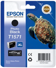 Epson Turtle Cartuccia Nero foto