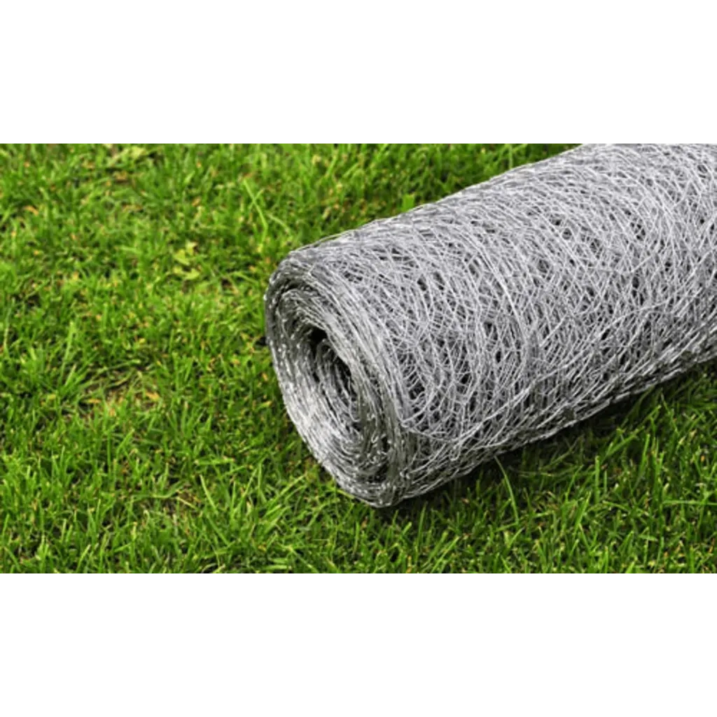 Recinzione in Rete per Pollaio Acciaio Zincato 25x0,75m Argento 140419