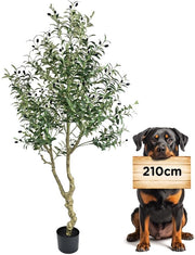 Pianta Artificiale di Olivo 210cm Pianta Decorativa per Interno come Pianta Reale di Olivo per Decorazione di Soggiorno Camera da Letto Ufficio