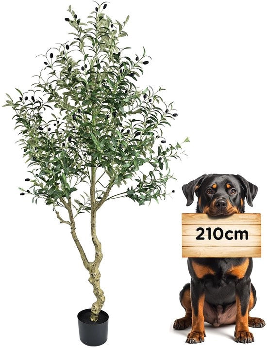 Pianta Artificiale di Olivo 210cm Pianta Decorativa per Interno come Pianta Reale di Olivo per Decorazione di Soggiorno Camera da Letto Ufficio