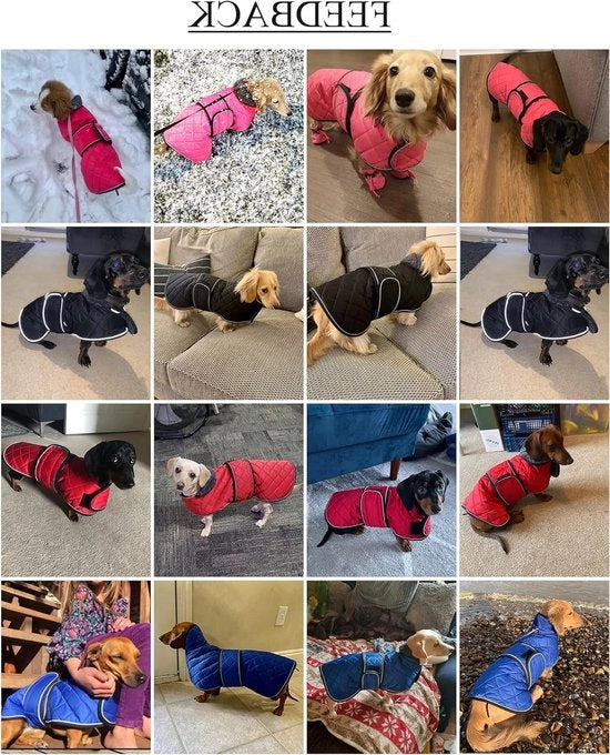 Giacca Impermeabile per Cane da Bordo con Fodera di Fleece Calda e Cintura Regolabile, Ideale per Piccoli e Mediaspetti Cani - Rosso - XS