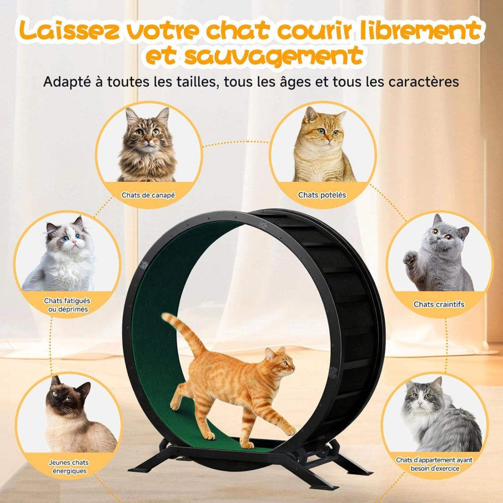 Ruota per gatti, ruota per esercizi per gatti, XL- 100 cm, ultra silenziosa con tappetino rimovibile, adesivi, sistema di bloccaggio, metallo, verde, regali per il vostro gatto