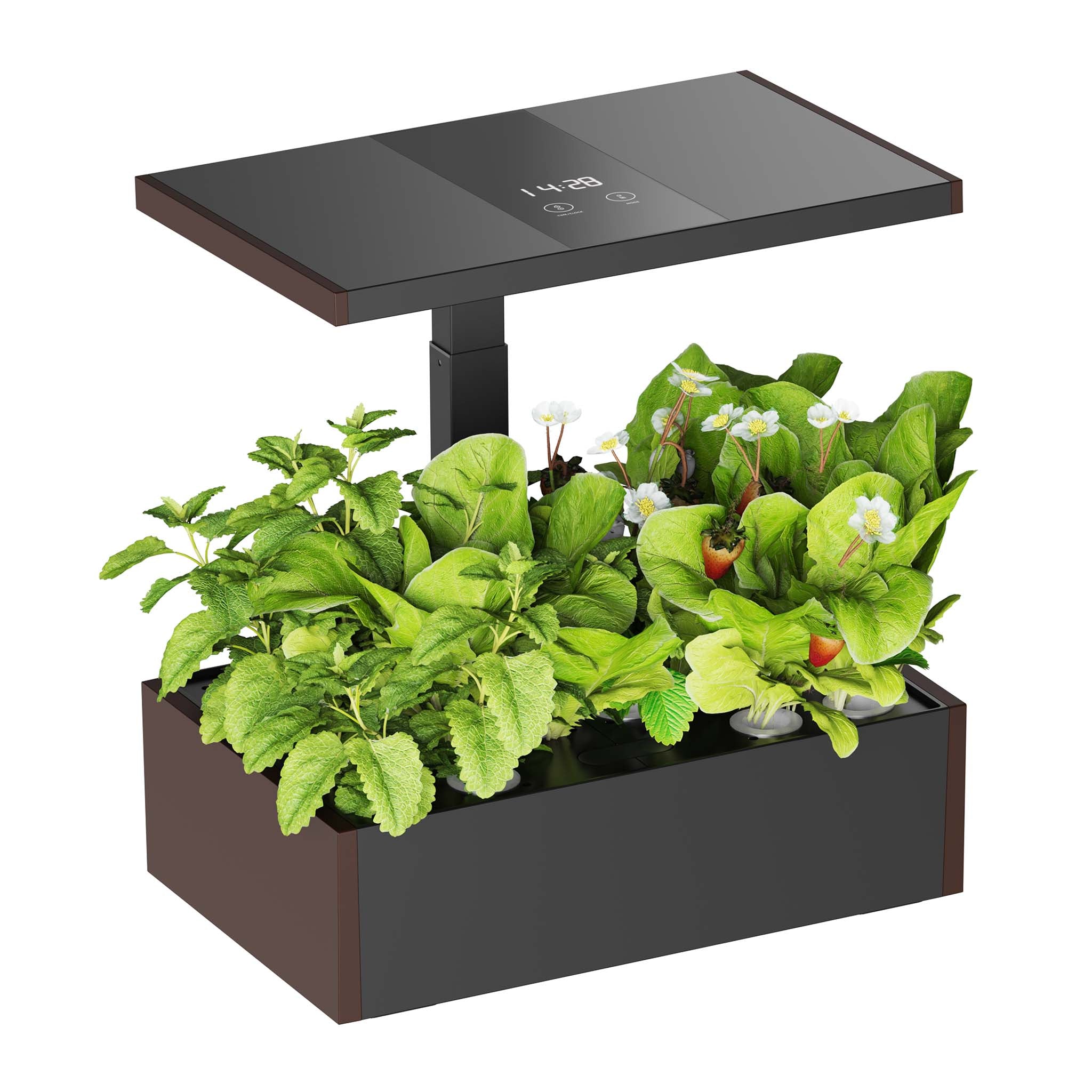 Serra idroponica, set per coltivazione idroponica in casa, con pannello di controllo e LED, serbatoio acqua 9,8 l, altezza regolabile, marrone