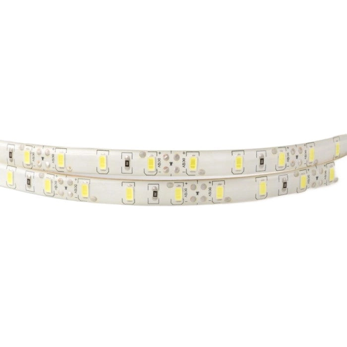 Striscia LED 5m 19W/m 6500K 1550lm/m 12V IP63 dimmerabile