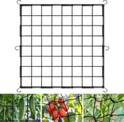 Tessuto elastico per reti 80x80cm con 4 ganci - Rete per rampicanti e orti per piante - Rete per verdure e fiori di frutta