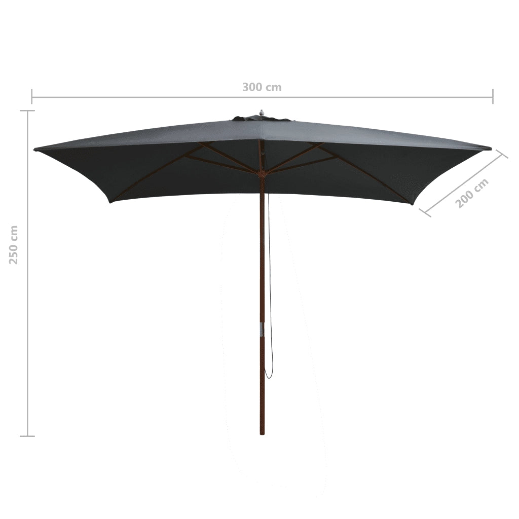 Ombrellone da Esterni con Palo in Legno 200x300 cm Antracite 44513