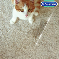 Smacchiatore Rimuovi Macchie per Tappeti, Rimuove gli Odori con Spazzola Applicatrice, 650ml, Dr. Beckmann