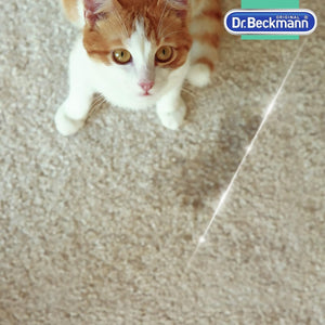 Smacchiatore Rimuovi Macchie per Tappeti, Rimuove gli Odori con Spazzola Applicatrice, 650ml, Dr. Beckmann