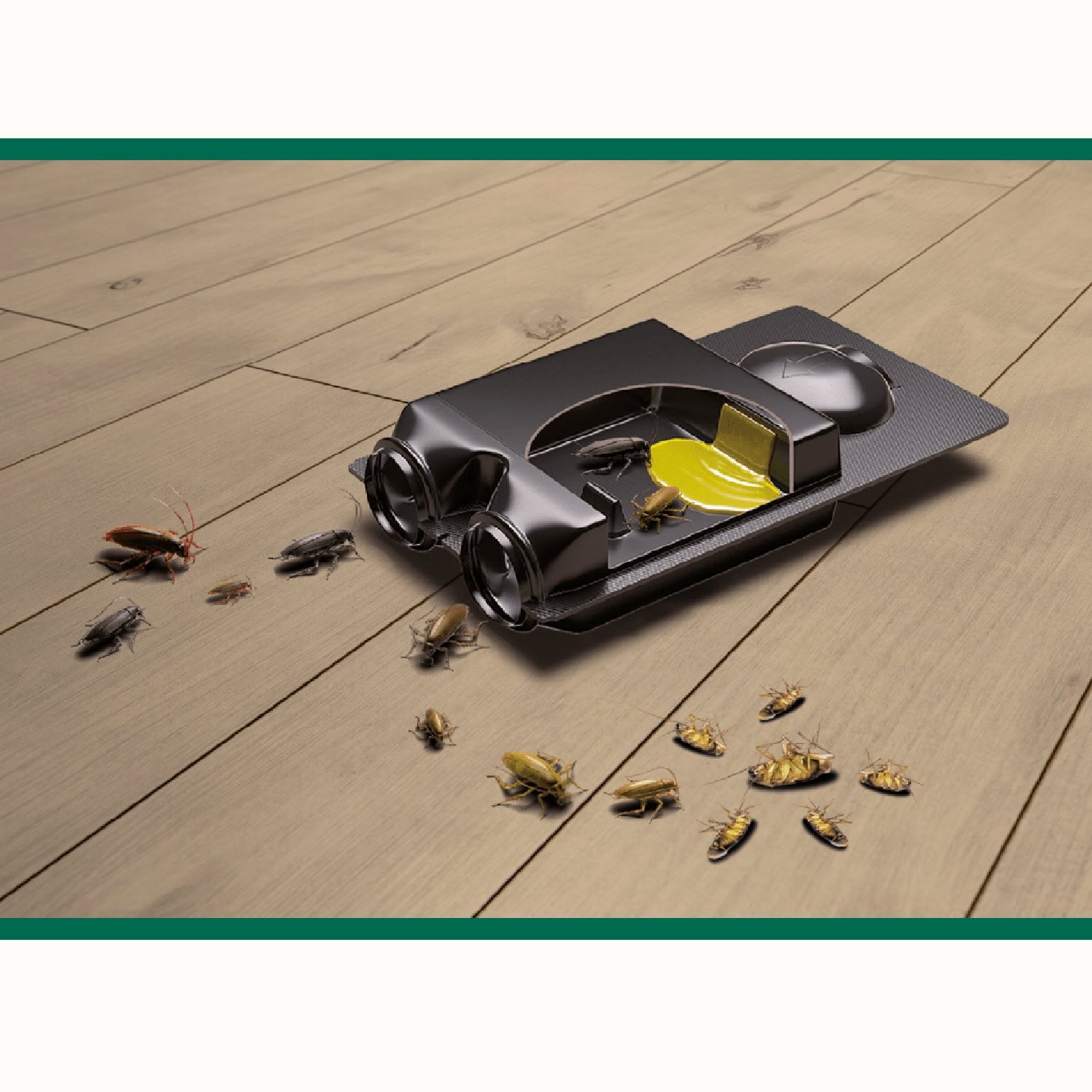 Esche per Scarafaggi, Ideale per Interni, Edifici e Terrazzi, Efficacia 3 Mesi, Confezione da 3 pezzi, Orphea