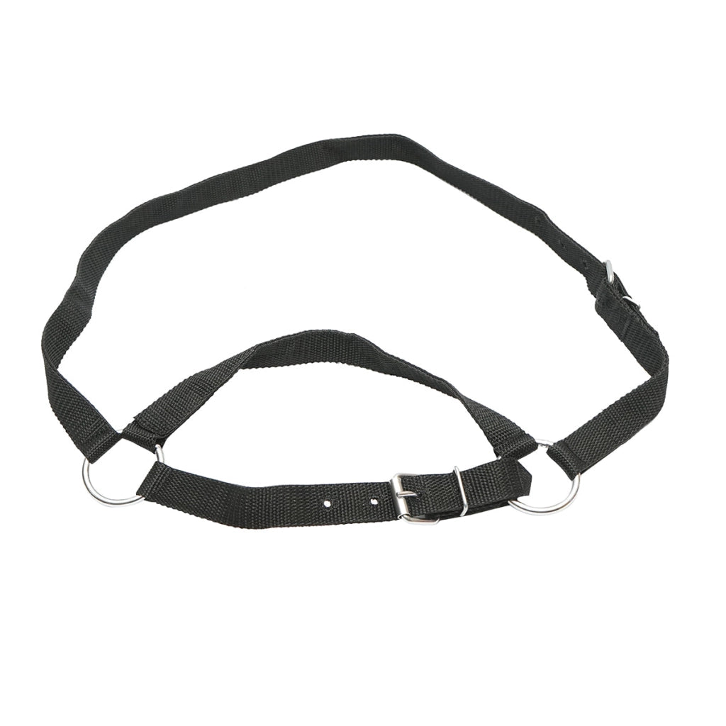 Cavezza in nylon per mucca 25mm