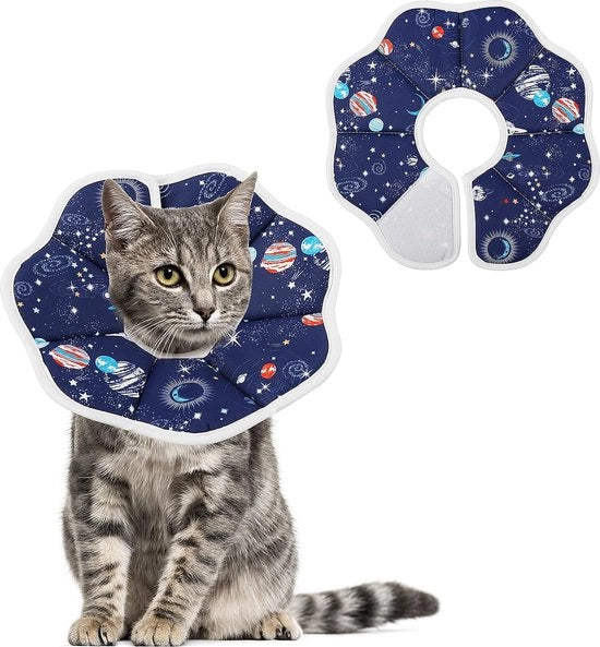 Cintura per gatto - Cintura gatto - Cintura gatto - Protezione cintura gatto - Cintura gatto operativa