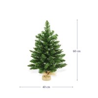 Albero di Natale Argo 60 cm