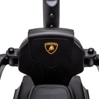 Lamborghini Macchinina per Bambini 2 in 1 con Maniglione e Barriera di Sicurezza, Volante e Clacson, Auto per Bambini in PP e Metallo, 86.5x40x89.5 cm, Verde e Nero