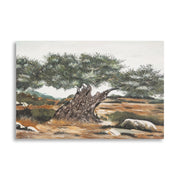 Dipinto Su Tela Olivo -b- cm 120x3,8x80