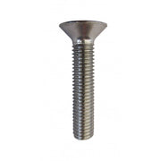 BULLONE TESTA PIANA SV/CAVA Ø MM.8X20 ESAG PZ10