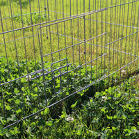 Recinto conigli Gabbia lepri Conigliera Spazio per muoversi Stalla Tetto di legno