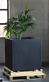 Vaso quadrato Cubo Fenice in resina da 85cm Antracite