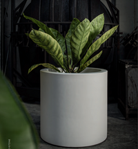 Vaso Cilindro Fenice in resina greystone da 85cm Elbi