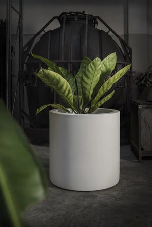 Vaso Cilindro Fenice in resina greystone da 85cm Elbi