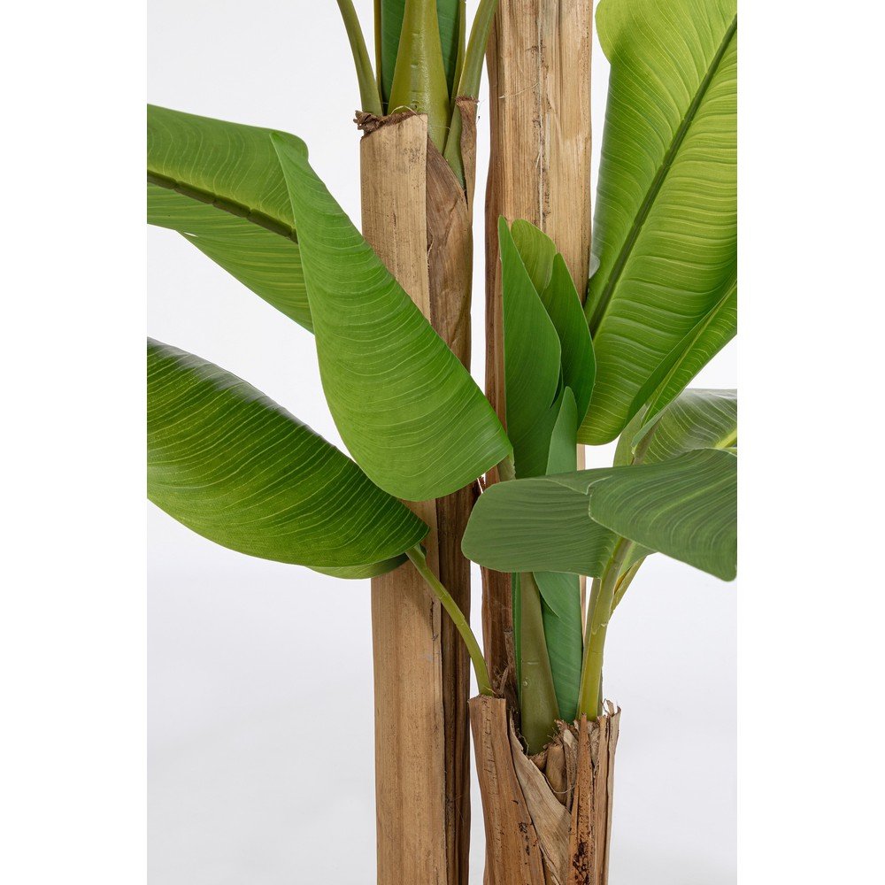 Pianta con Vaso Plastica Verde da Interno H280 cm - ZENITALE