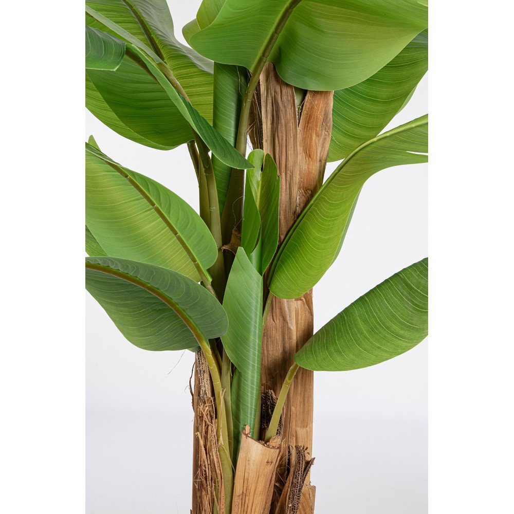 Pianta con Vaso Plastica Verde da Interno H240 cm - ZENITALE