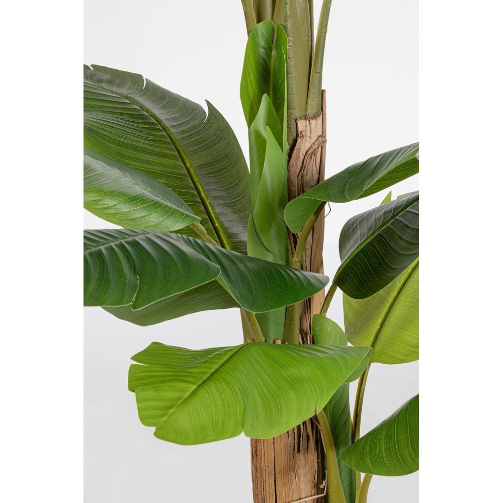 Pianta con Vaso Plastica Verde da Interno H200 cm - ZENITALE