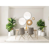 Set 2 Piante con Vaso Plastica Verde da Interno H113 cm - ZENITALE