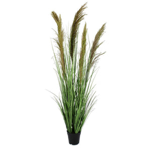 Set 4 Piante Pampas Plastica Verde da Interno H145 cm - SILHOUETTIA