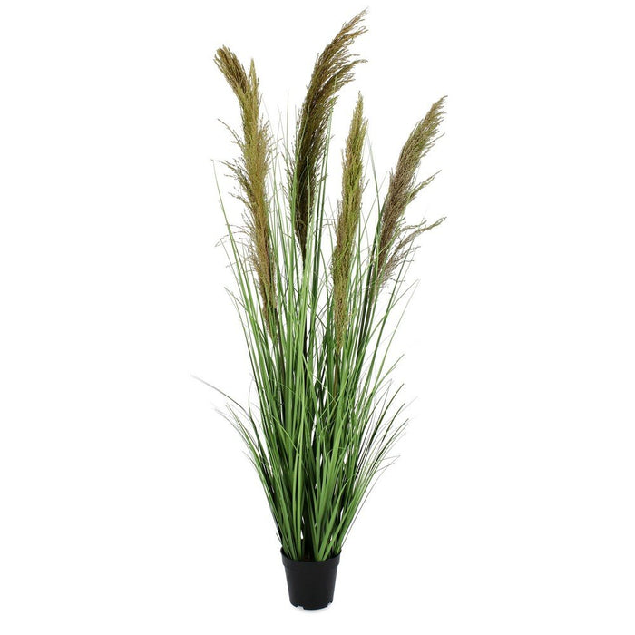 Set 4 Piante Pampas Plastica Verde da Interno H145 cm - SILHOUETTIA